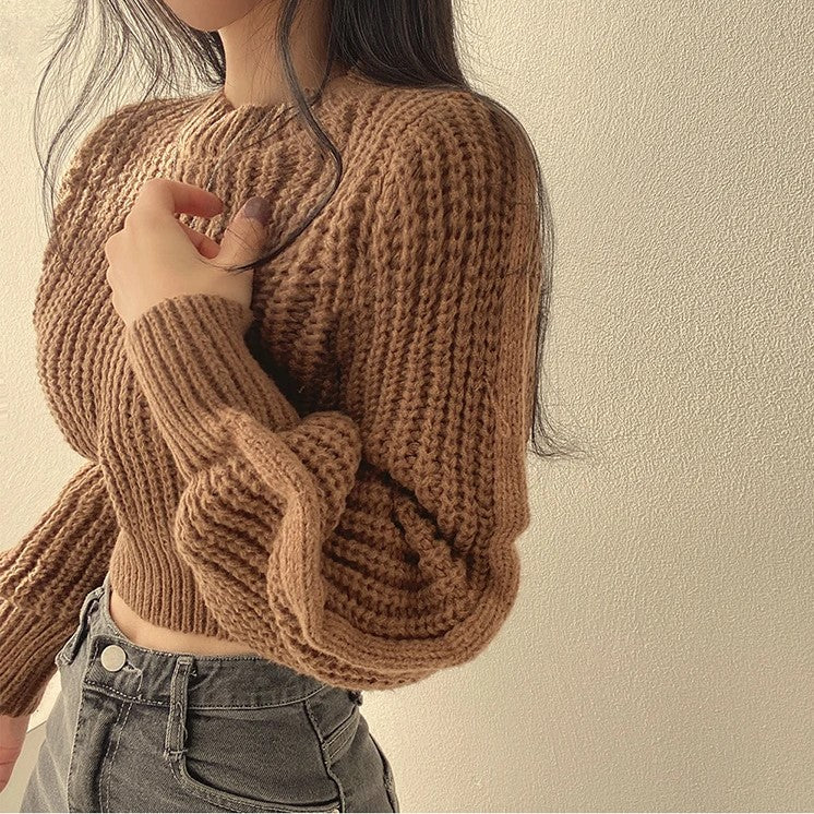 Trendy Cropped Sweater